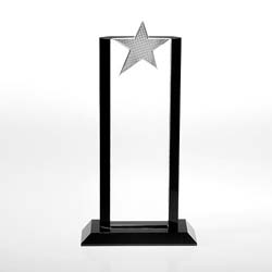 Crystal Flair Award with Metal Star