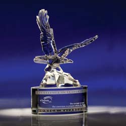 Soaring Crystal Eagle Award | Eagle Trophy - UltimateCrystalAwards.com